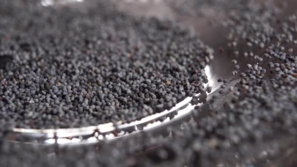 Dry Poppy Seeds Shiny Plate Macro Rotation — Stock Video