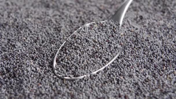 Hurda Halinde Haşhaş Tohumları Olan Metal Kaşık Makro Seçici Odaklanma — Stok video