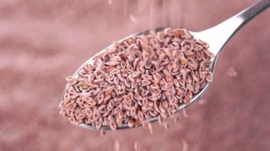 Tam kaşık psyllium tanecikli besin desteği. Isabgol tohumları dökülüyor. Makro. Yavaş çekim