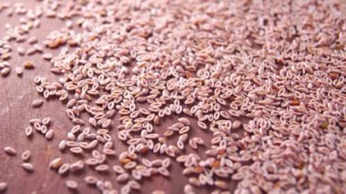 Tahta bir yüzeyde psilyum tohumları. Makro. Döndürme. Sindirim temizliği ve iyileşme için bitkisel destek