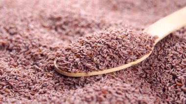 Dolu tahta kaşık dolusu psyllium tohumu yığıldı. Makro. Süper yiyecek konsepti. Ispagula taneleri