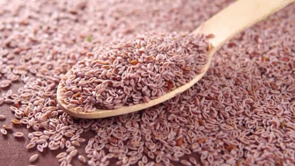 Psyllium Seeds Wooden Spoon Macro Rotation Food Herbal Supplement Digestive — Stock Video