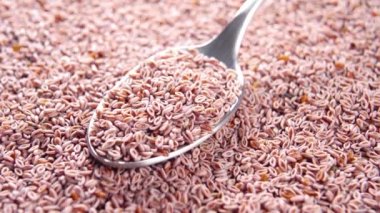 Tam kaşık psyllium besleyici takviye. Kuru Hindistan muz tohumları. Makro. Döndürme. Süper yiyecek konsepti