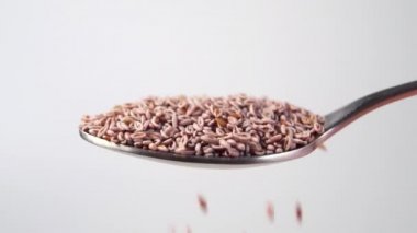 Beyaz arka planda kaşık içinde psilyum tohumları. Yavaş çekimde kuru taneler dökülüyor. Makro. Ispagula tohumu. Bitkisel süper yemek.