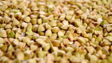 Çiğ yeşil karabuğday taneleri. Makro. Sağlıklı vejetaryen yemeği. Makro. Döndürme. Çok yakın çekim.