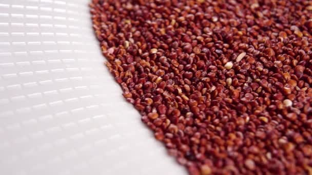 Quinoa Cru Sans Gluten Rouge Dans Plat Blanc Macro Rotation — Video