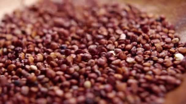 Falling Organic Red Quinoa Grains Slow Motion Macro Shot Uncooked — Stockvideo
