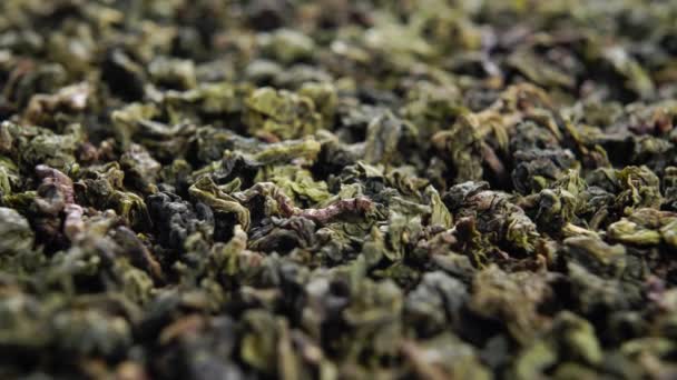 High Quality Dried Green Tea Leaves Macro Rotation — Stock Video