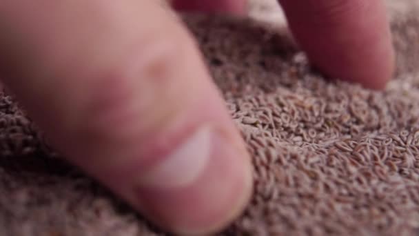 Hand Takes Pinch Whole Psyllium Seeds Falling Heap Slow Motion — Video
