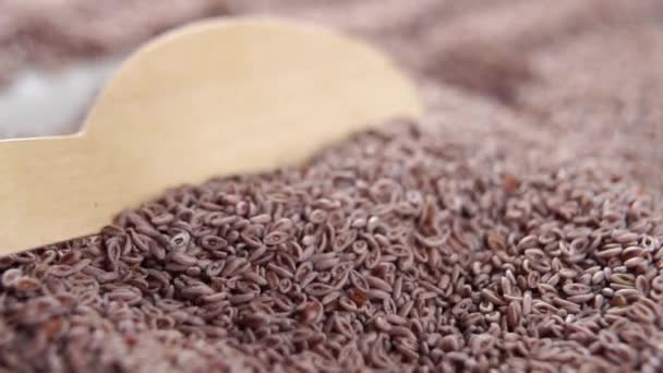 Dry Psyllium Seeds Spooning Organic Whole Grains Wooden Spoon Slow — стоковое видео
