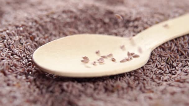 Whole Psyllium Seeds Fall Wooden Spoon Slow Motion Organic Dietary — стоковое видео