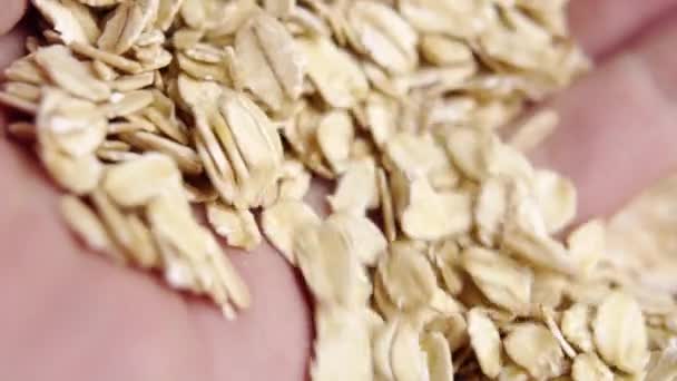 Dry Oatmeal Flakes Palm Hand Handful Uncooked Whole Rolled Oats — Stok video