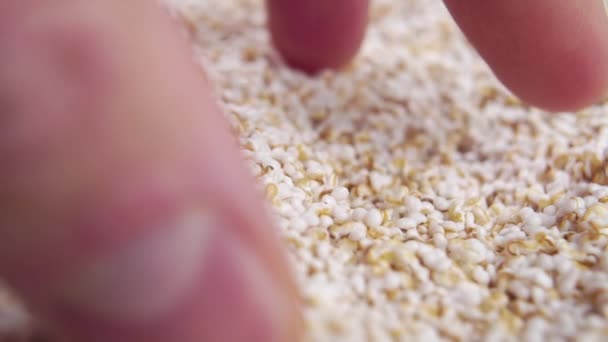 Popped Amaranth Seeds Falling Hand Slow Motion Dietary Nutritional Fiber — Wideo stockowe