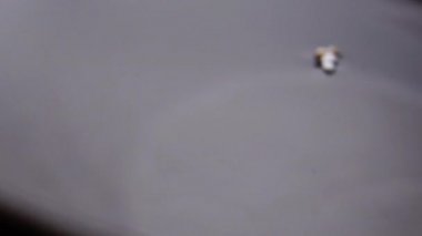 Aroaranth tohumlarının hazırlanması. Patlamış taneler yavaş çekimde suya düşer. Makro atış. Islak organik mısır gevreği. Süper gıda diyet malzemesi