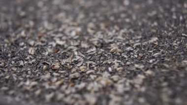Psyllium kabuğunu yavaş çekimde suda eritmek. Süper yemek konsepti. Makro atış. Sağlıklı tahıl diyeti içeceği