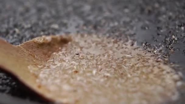 Psilyum Kabuğuna Takviyesi Tahta Kaşıkla Karıştırmak Tohumları Yavaş Çekimde Islatmak — Stok video