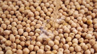 Nohut pişiriyorum. Su dökmek ve kuru fasulyeleri yavaş çekimde ıslatmak. Yakın plan.