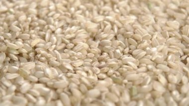 Çin tahıllı integral pirinç. Pişmemiş tohumlar. Makro. Döndürme