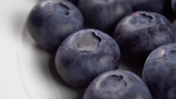 Blueberry Segar Pada Permukaan Piring Putih Close Makro Rotasi — Stok Video