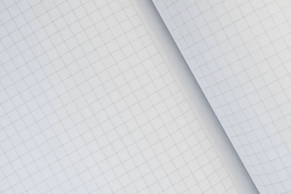 Empty Checkered Sheet Open Notebook Mathematics Page Geometric Texture Back — Stock Photo, Image