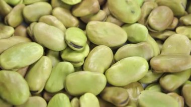 Geniş (fava) fasulye yakın çekim. Yavaş çekimde kuruyan baklagiller. Makro. Döndürme. Akdeniz mutfağı