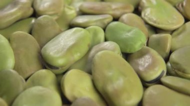 Fava (geniş) fasülyeleri yakın çekim. Kurutulmuş baklagiller. Makro. Döndürme. Akdeniz mutfağı