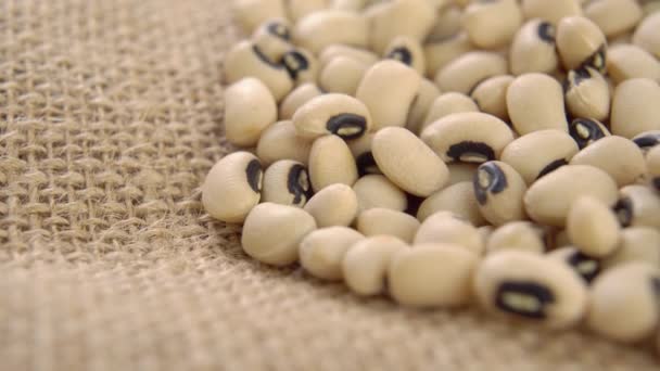 传统的卡斯蒂利亚豆 粗糙粗布的乡村腿上干枯的西班牙式腿 米色谷物 黑眼豆 — 图库视频影像