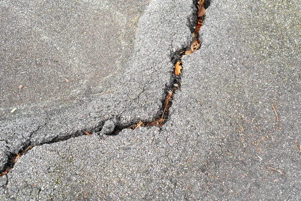 Crack Gray Damaged Asphalt Road Close Fallen Autumn Leaves Copy — Stock Photo, Image