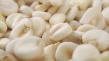 Tam bir çiğ hominy. Kuru mısır yavaş çekimde düşen tahılları alevlendirir. Makro atış. Meksika mutfağı. Döndürme