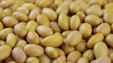 Pişmemiş Peru fasulyesi yavaş çekimde düşüyor. Mayocoba taneleri. Makro. Döndürme. Kuru Kanarya baklagilleri