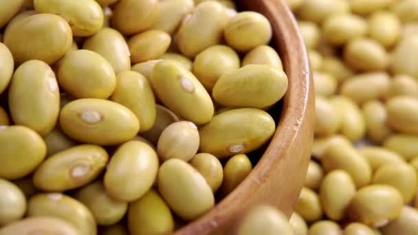 ペルー産豆を使用した本格的な木製のボウル マヨコバの穀物の落下 マクロだ カナリアのマメ科植物 スローモーション — ストック動画