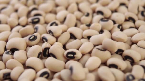 Boabele Cowpea Cad Mișcare Lentă Macro Cereale Ochi Negri Rotație — Videoclip de stoc