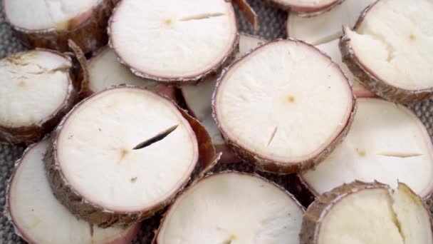 Κομμένη Ρίζα Γιούκα Πρώτες Φέτες Μανιόκας Αποξηραμένο Φυτό Κασάβα Μακρο — Αρχείο Βίντεο