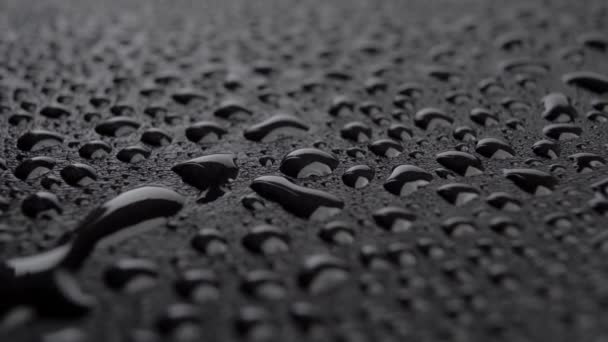 Água Cai Preto Textura Orvalho Molhado Escuro Perto Rotação Macro — Vídeo de Stock