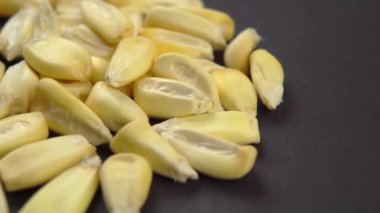 Ahşap bir yüzeyde kurutulmuş mısır taneleri. Makro. Döndürme. Tohumları kurut