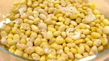 Çiğ Peru fasulyesi, cam kasede suya batırılmış. Meksika baklagilleri pişirmek