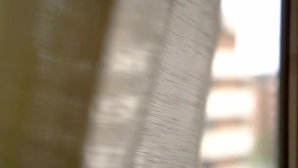 Zatahování Závěsů Okně Bytu Detailní Záběr Koncept Soukromí Osamělosti — Stock video