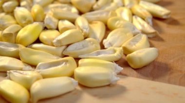 Kenevir tohumları kırsal yüzeyde. Kurutulmuş mısır. Makro. Dolly vurdu.