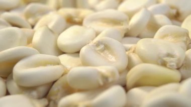 Kurumuş bir hominy. Kuru mısır tanecikli. Makro. Dolly vurdu.