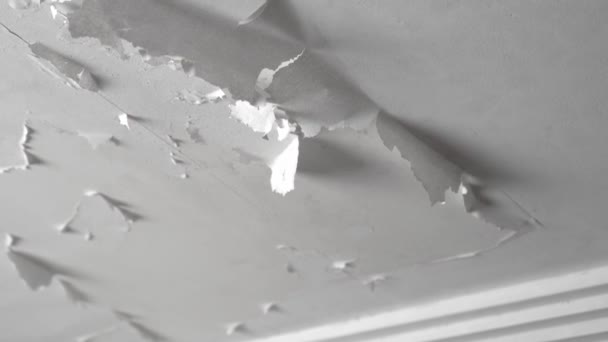 Peeling Paint Due Dampness Bathroom Ceiling Water Leak Moisture Condensation — Stock Video