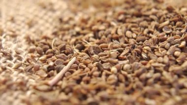 Ağır çekimde düşen kurumuş anason tohumu. Anasonlu kuru baharat. Makro. Döndürme