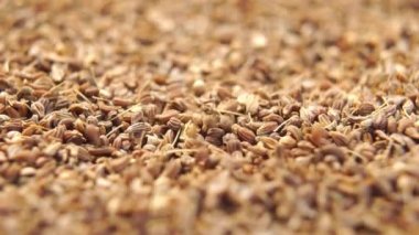Yavaş çekimde düşen kuru anason tohumu. Aniseed kurutulmuş baharat. Makro. Döndürme