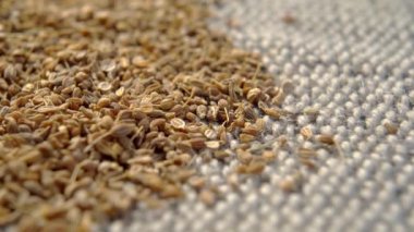 Kırsal yosun bezinde kurutulmuş anason tohumu. Anasonlu kuru baharat. Makro. Döndürme