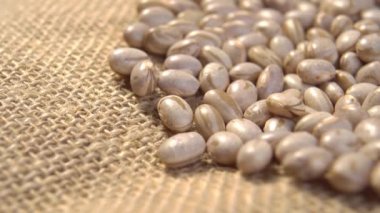 Brezilya Carioca Pinto fasulyesi, kaba, kırsal bir çuval bezi üzerinde. Pişmemiş popüler Meksika baklagilleri. Makro. Döndürme