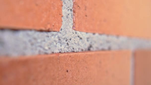 Red Brick Wall Cement Joint Close Macro Dolly Shot — Stock Video