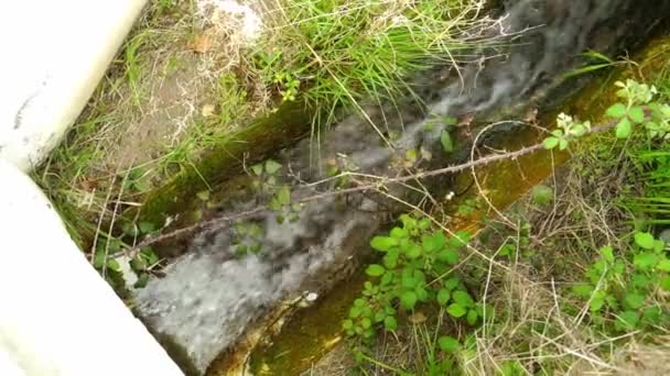 Drainage Bach Mit Regenwasser Fließt Einem Graben Mit Einer Wiese — Stockvideo