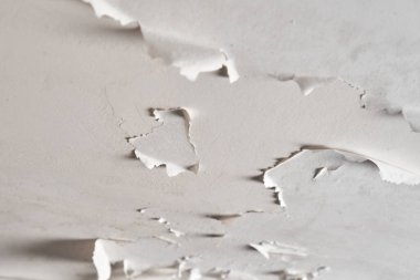 Banyo ve tuvaletin alçı tavanındaki boyaları soyuyordu. Odada nem ve nem var. Kapat.
