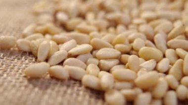 Çam fıstığı. Kırsal bir çuval bezi üzerine soyulmuş çiğ çekirdekler dökülüyor. Sedir tohumları. Makro. Döndürme