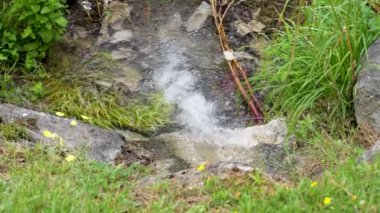 Dere, yeşil çimlerle birlikte yavaş çekimde nehre akıyor.