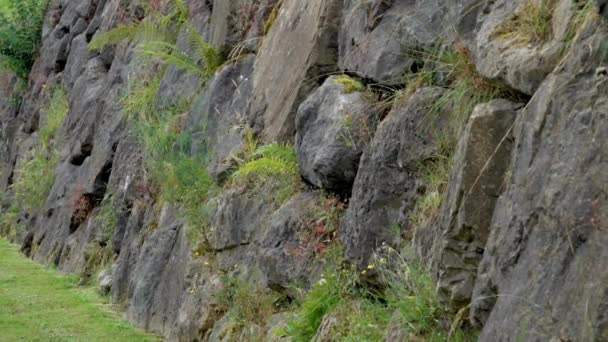 Dunkle Felsbrocken Gestapelt Einer Stützsteinmauer Freien Mit Grünem Gras Nahaufnahme — Stockvideo